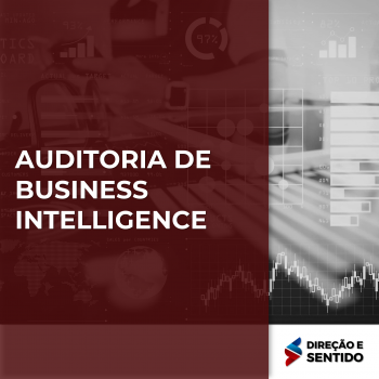 AUDITORIA DE BUSINESS INTELLIGENCE