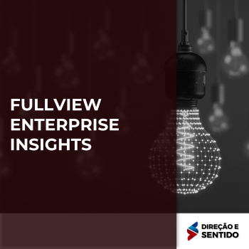 FULLVIEW ENTERPRISE INSIGHTS